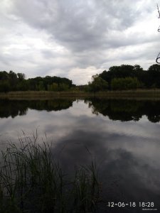 IMG_20180612_182854.jpg
