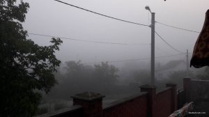 45340.jpg
