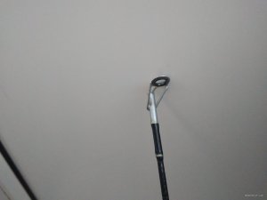 IMG_20180409_152009.jpg