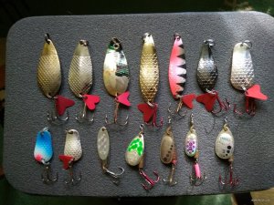 IMG_20180528_170215.jpg