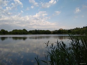 IMG_20180616_063132.jpg
