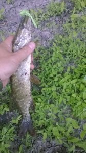 WP_20180616_13_29_49_Pro.jpg