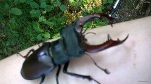 WP_20180616_17_45_20_Pro.jpg