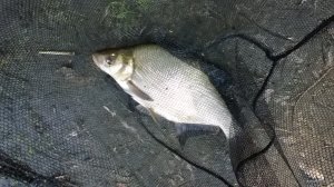 WP_20180616_17_52_09_Pro.jpg