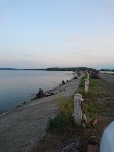 DSC_0239.JPG