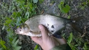 WP_20180616_19_12_18_Pro.jpg