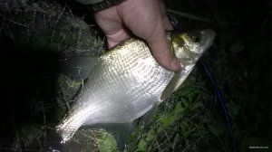 WP_20180616_21_21_00_Pro.jpg