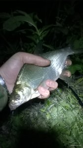 WP_20180616_21_41_04_Pro.jpg