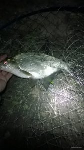 WP_20180616_22_05_55_Pro.jpg