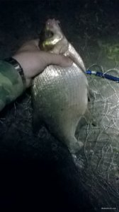 WP_20180617_02_36_55_Pro.jpg