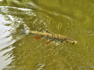 IMG_3492.JPG