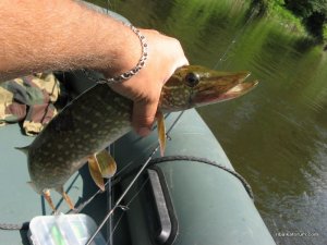 IMG_3493.JPG