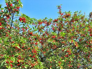 IMG_3504.JPG