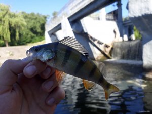 20180618_081607.jpg