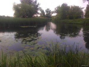 IMG_20180615_200249.jpg