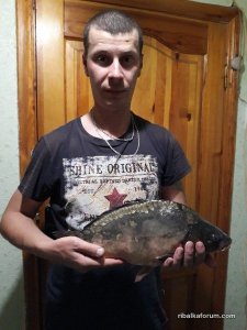 UySyaMm2ZoA.jpg