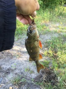 IMG_2570.JPG