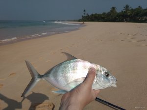 IMG_20180404_083634.jpg