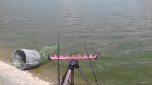 20180620_123904.jpg