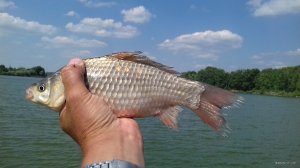 20180620_152016.jpg
