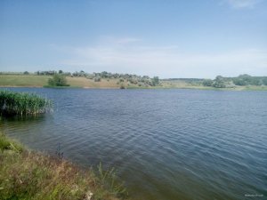 IMG_20180616_100524.jpg