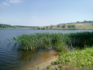 IMG_20180616_100513.jpg