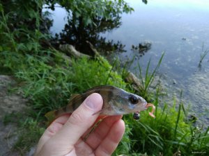 IMG_20180622_065713.jpg