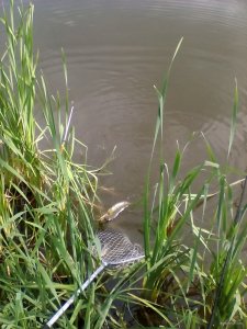 IMG_20180623_172803.jpg