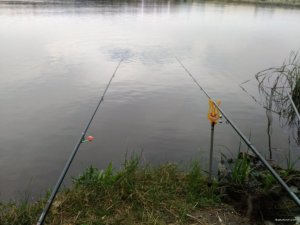 IMG_20180623_193721.jpg