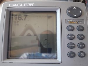 Эхо1.jpg