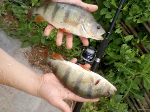 IMG_20180627_115935.jpg
