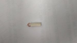 IMG_20180627_112034.jpg