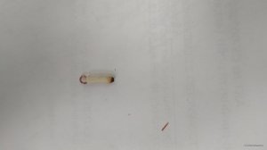 IMG_20180627_112108.jpg