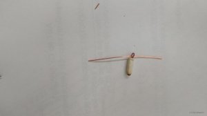 IMG_20180627_112136.jpg