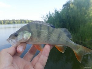 20180628_063936.jpg