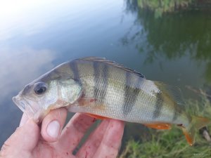 20180628_062806.jpg