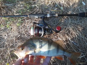 20180624_194058.jpg