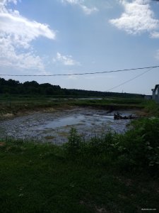 IMG_20180629_125157274.jpg