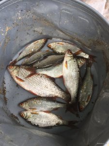 IMG_6763.JPG