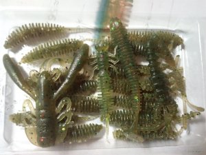 IMG_20180630_122044.jpg
