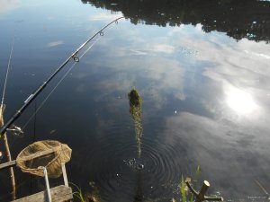 DSCN1191.JPG