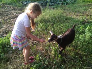 IMG_20180630_192810.jpg