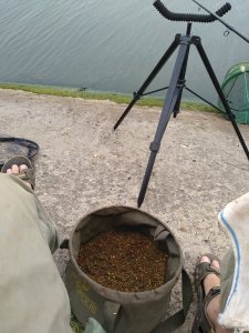 IMG_20180701_084702.jpg
