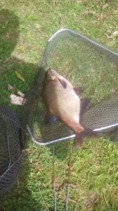 IMG_20180629_100838.jpg