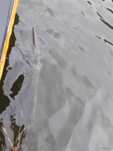 20180701_100433.jpg