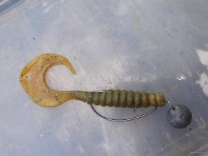 20180701_123612.jpg