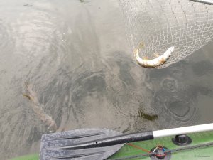 20180701_103159.jpg