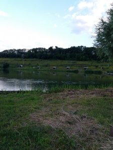 20180702_193312.jpg