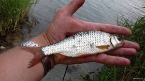 20180703_174756.jpg