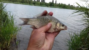 20180703_174745.jpg